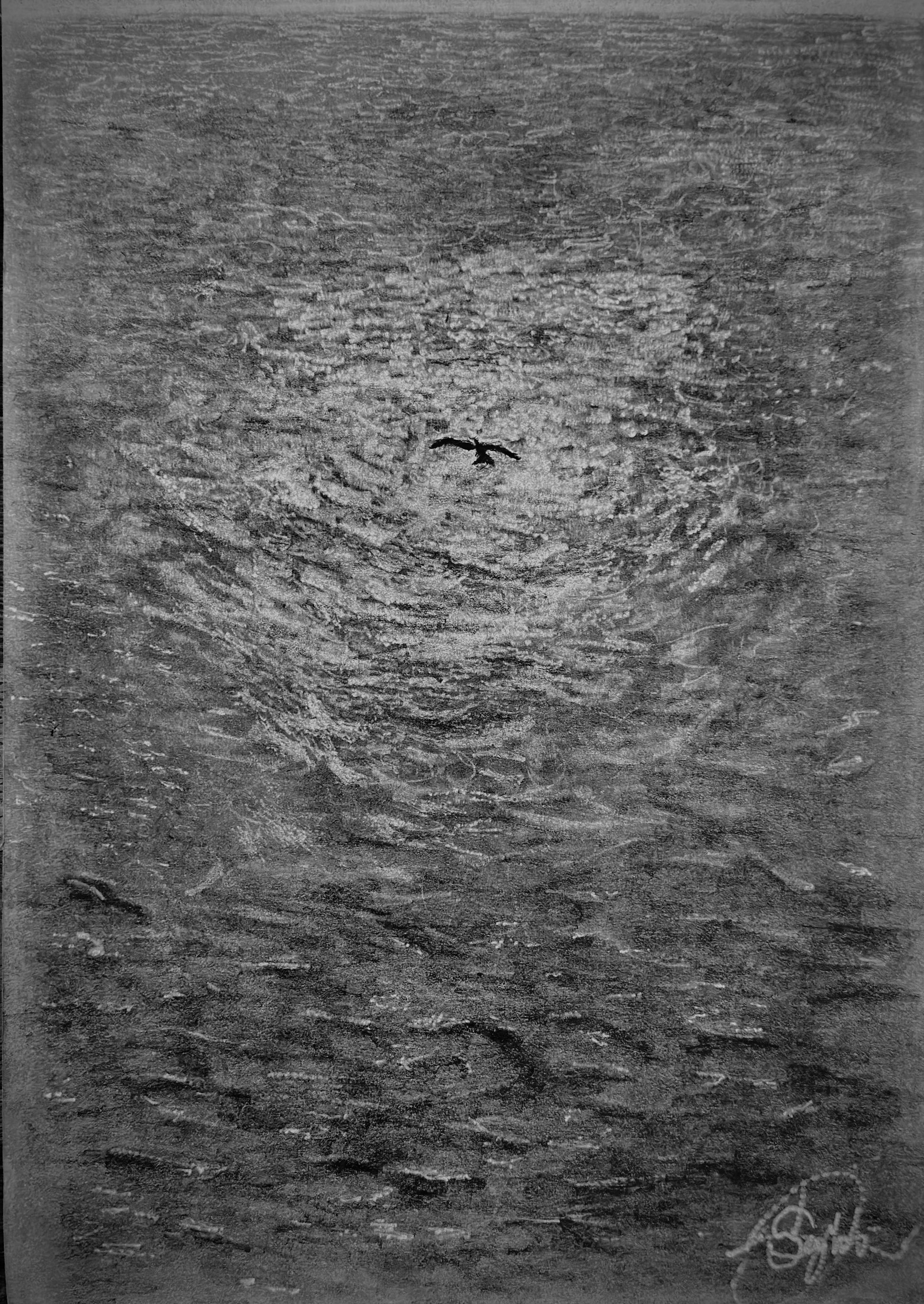 Free Bird - Limited Edition Print