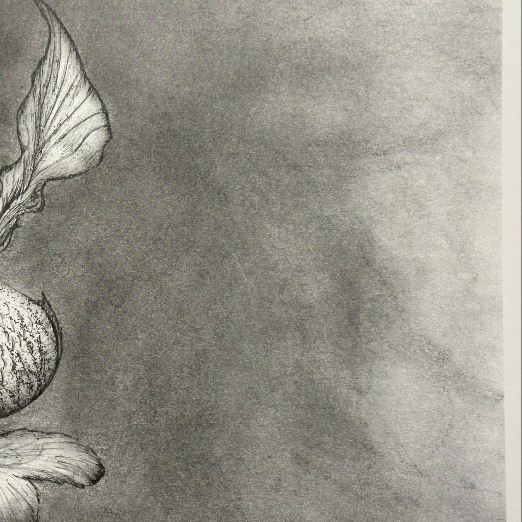 Red Herring | Limited edition Art Print